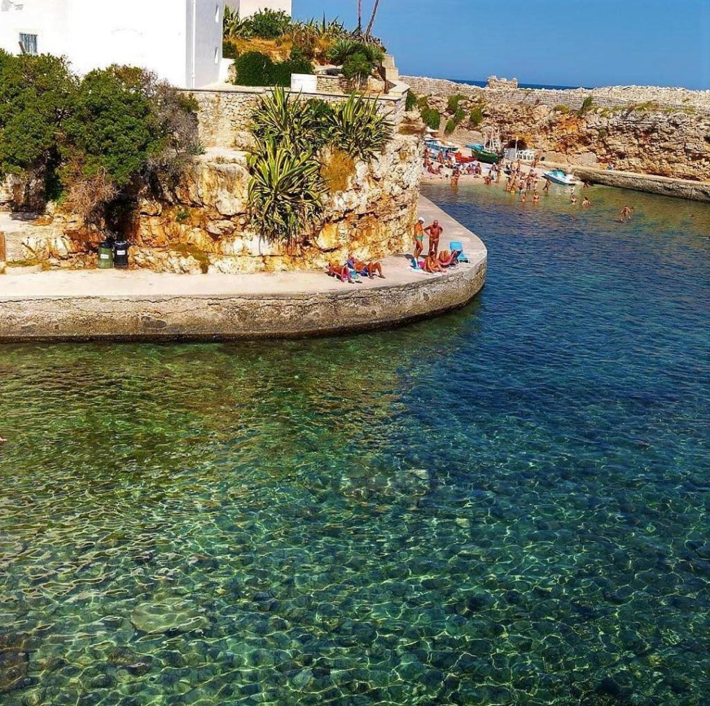 ポリニャーノ・ア・マーレEl-Mar Locazione Turistica House With Exclusive Terraceアパートメント エクステリア 写真